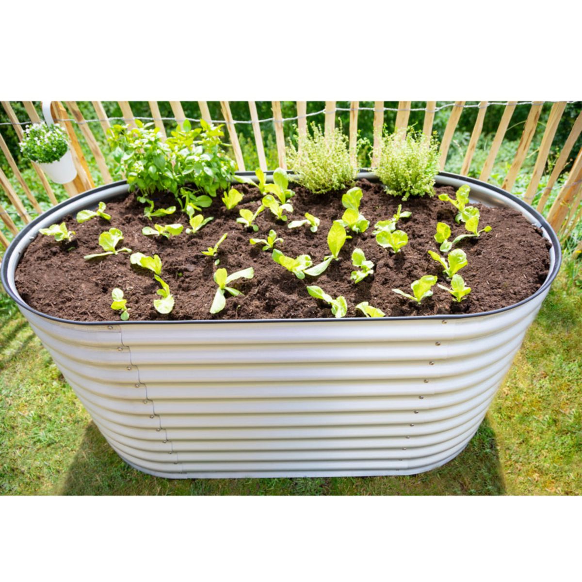 Westmann Hochbeet Grow Faster 80x160x82cm Bild 3