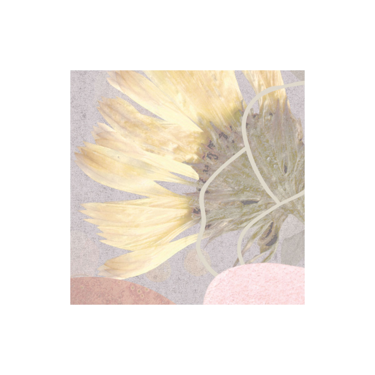 Komar  Vlies Fototapete Endless Spring 350x250 cm Bild 7