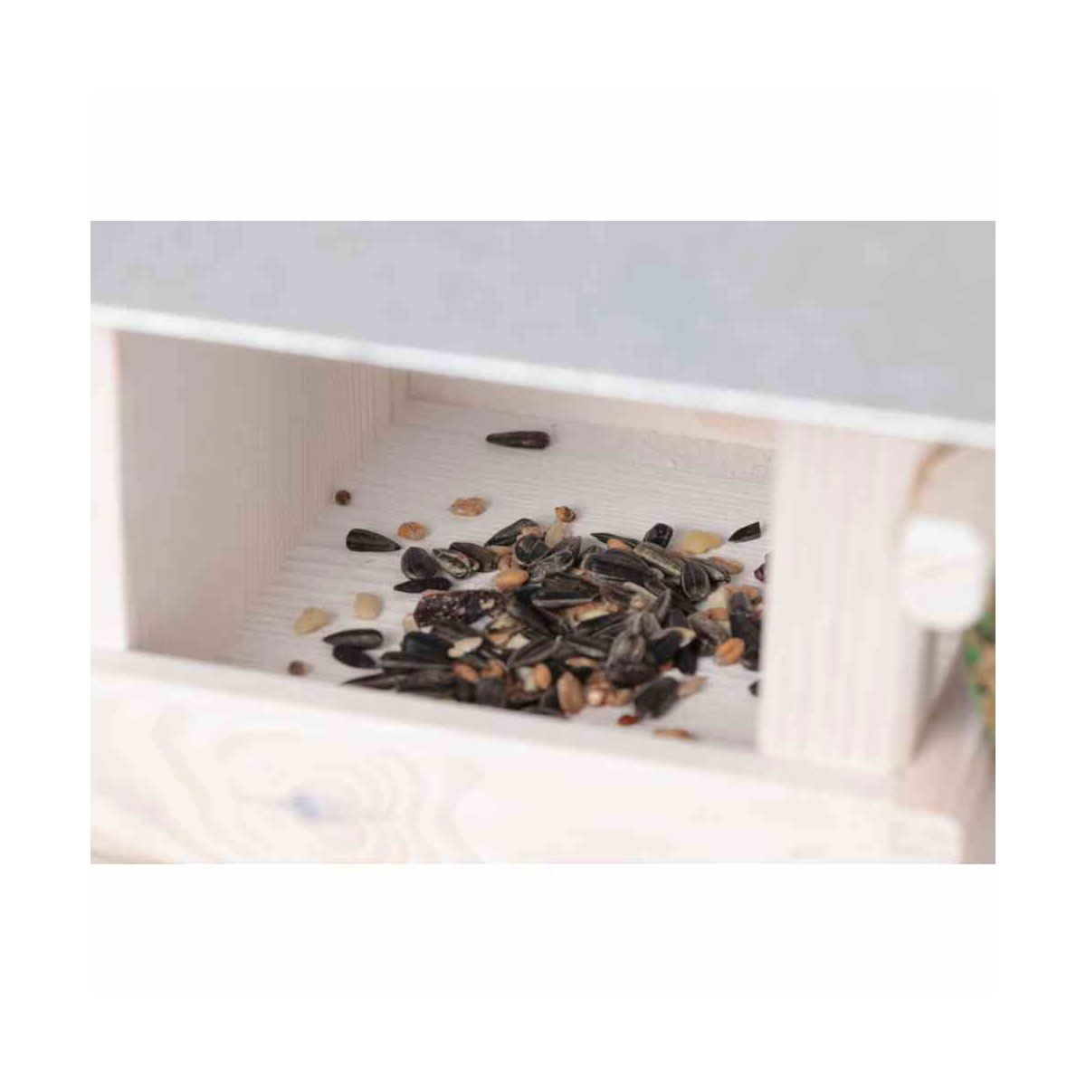 Siena Garden  Vogelhaus Toulose Bild 4