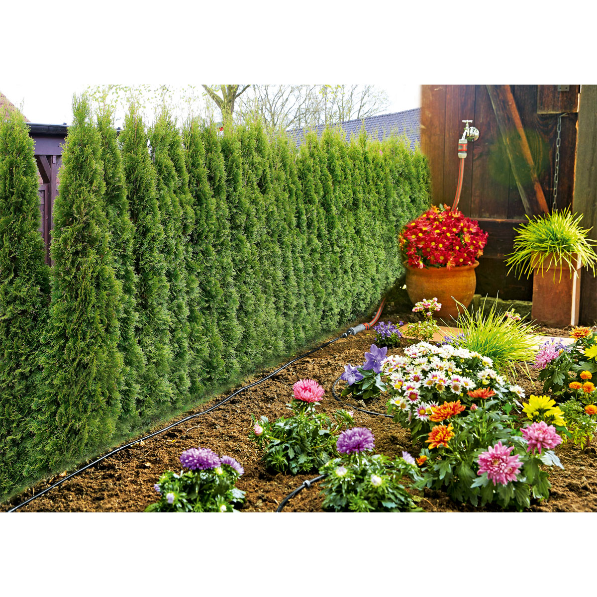 Gardena  Micro-Drip-System Starter-Set Pflanzreihe Größe S Bild 2