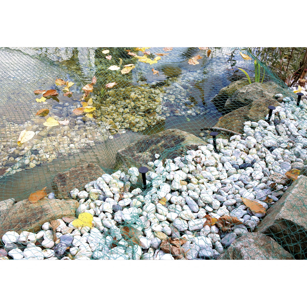 Plantiflor Laubschutznetz 6 x 5 m Bild 3