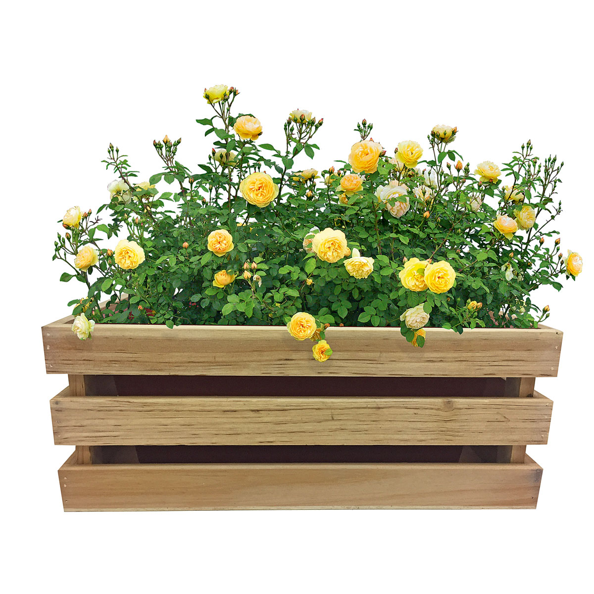 Haveson Pflanzkiste Casella Bild 2