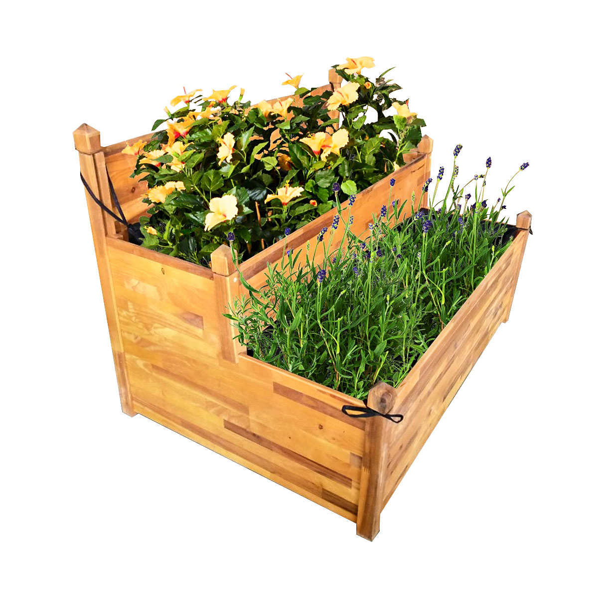 Wingart Stufenhochbeet aus Holz Bild 2