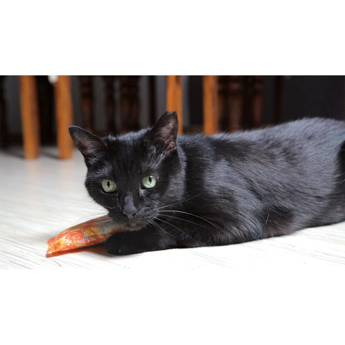 Schmusekissen Classic mit Katzenminze versch Farben Bild 8