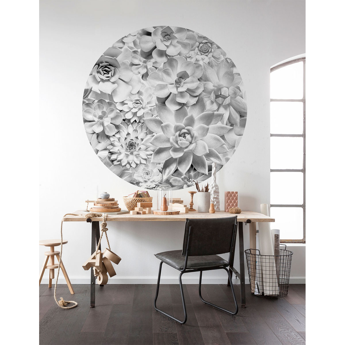 Komar  Selbstklebende Vlies Fototapete rund Echeveria Durchmesser 125 cm