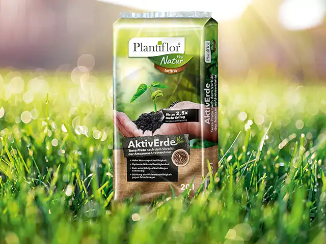 Ein Sack Blumenerde steht auf einer grünen Wiese.