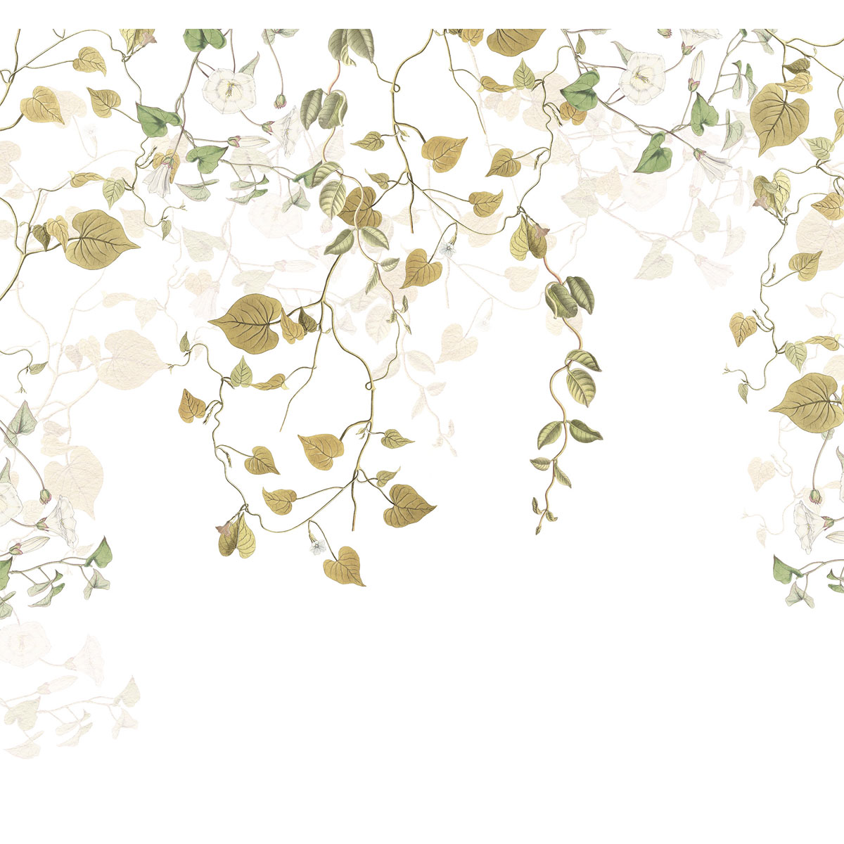 Komar  Vlies Fototapete Hedera 300x280 cm Bild 2