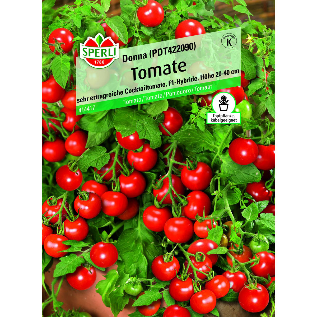 Tomate Donna Topftomate 20-40 cm Bild 1