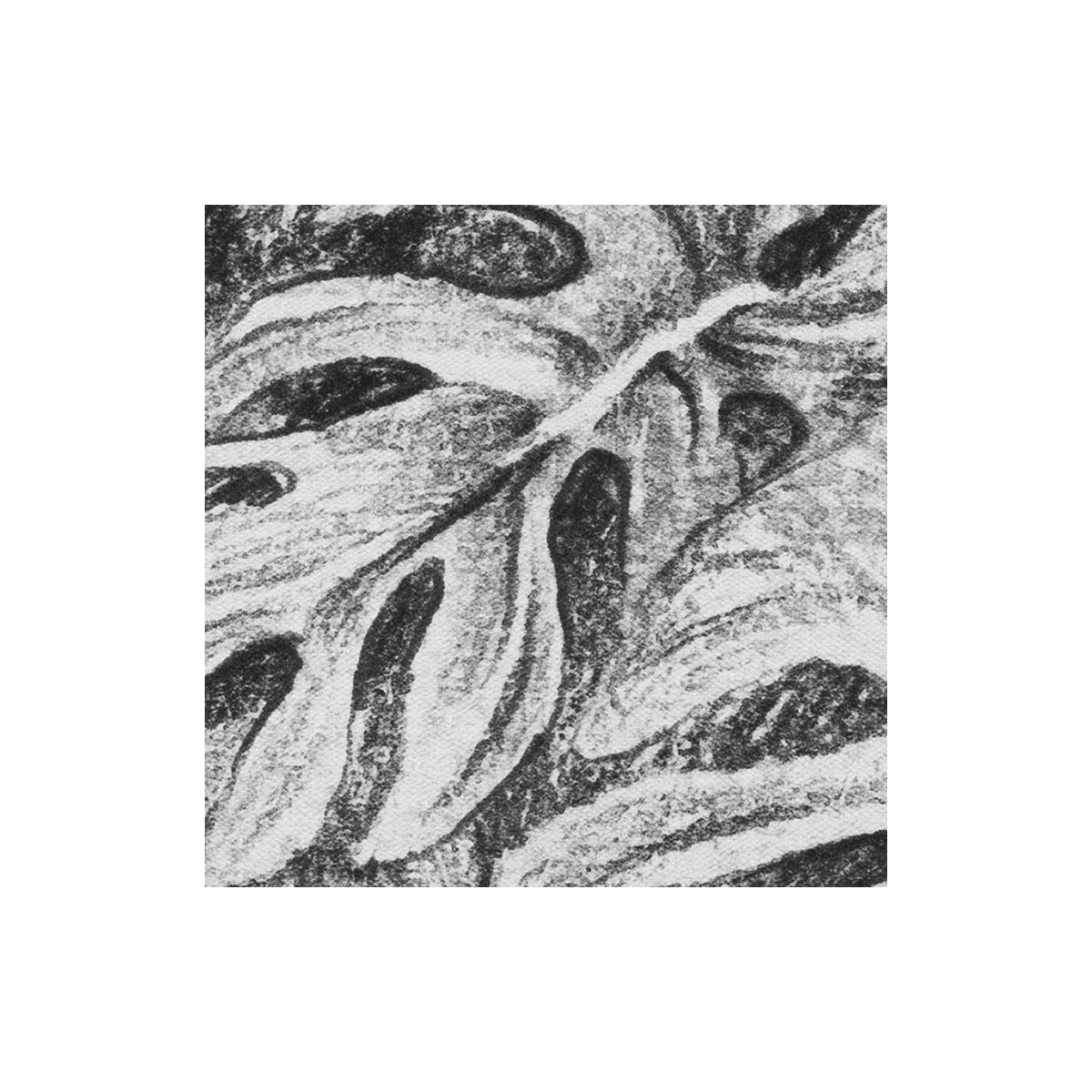 Komar  Vlies Fototapete Léopards 350x250 cm Bild 4