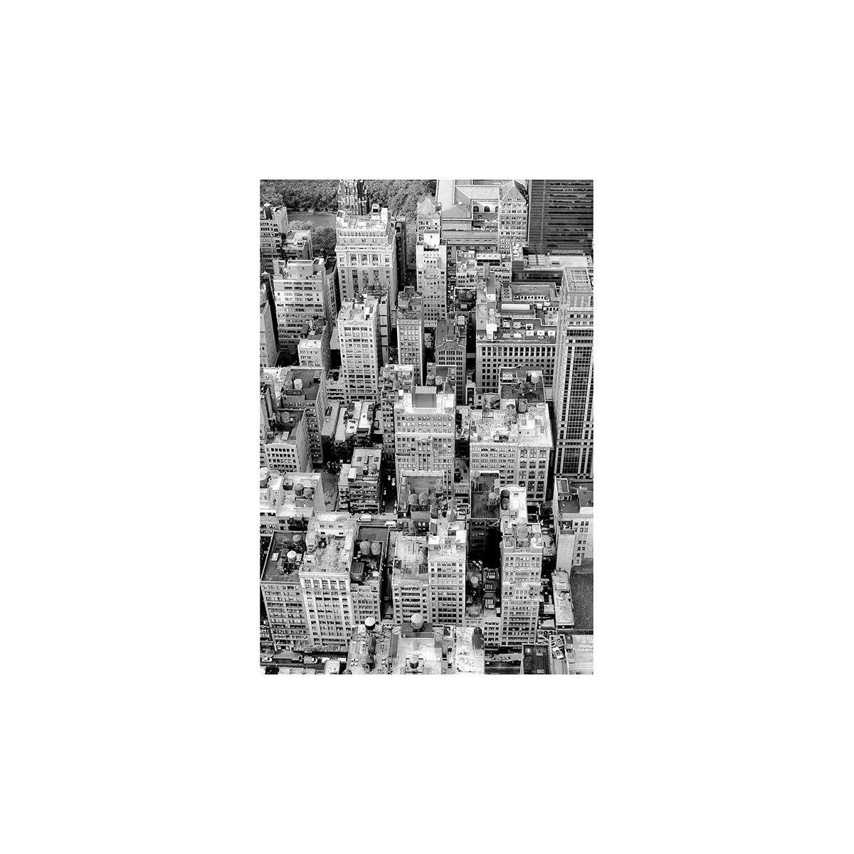 Komar  Wandbild Roof Top 50x70 cm Bild 2