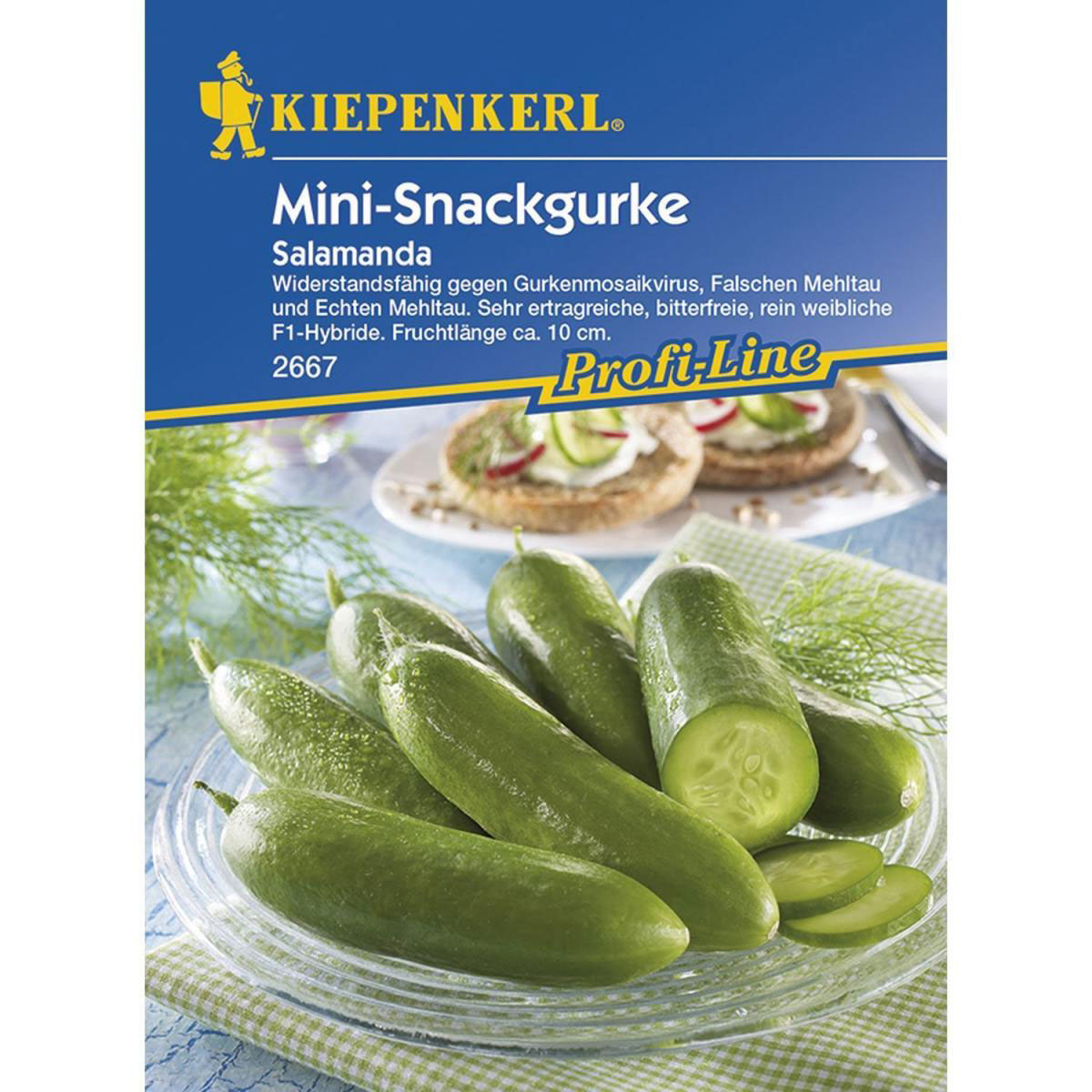 Kiepenkerl Salatgurke Salamanda F1 Bild 1