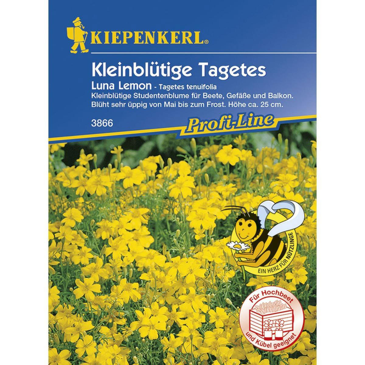 Kiepenkerl Tagetes tenuifolia Luna Lemon Profi-Line Bild 1