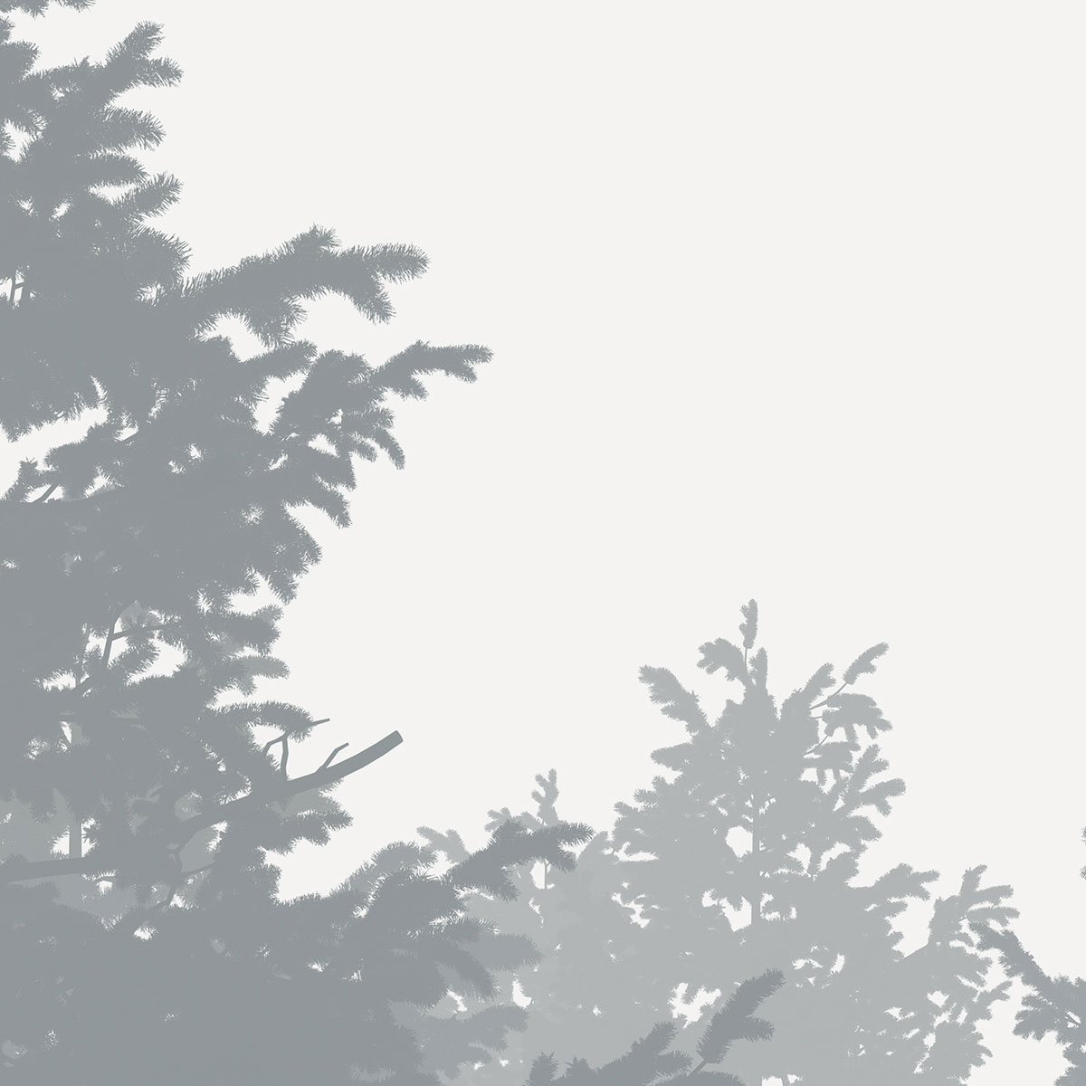 Komar  Vlies Fototapete Nebula 350x250 cm Bild 6