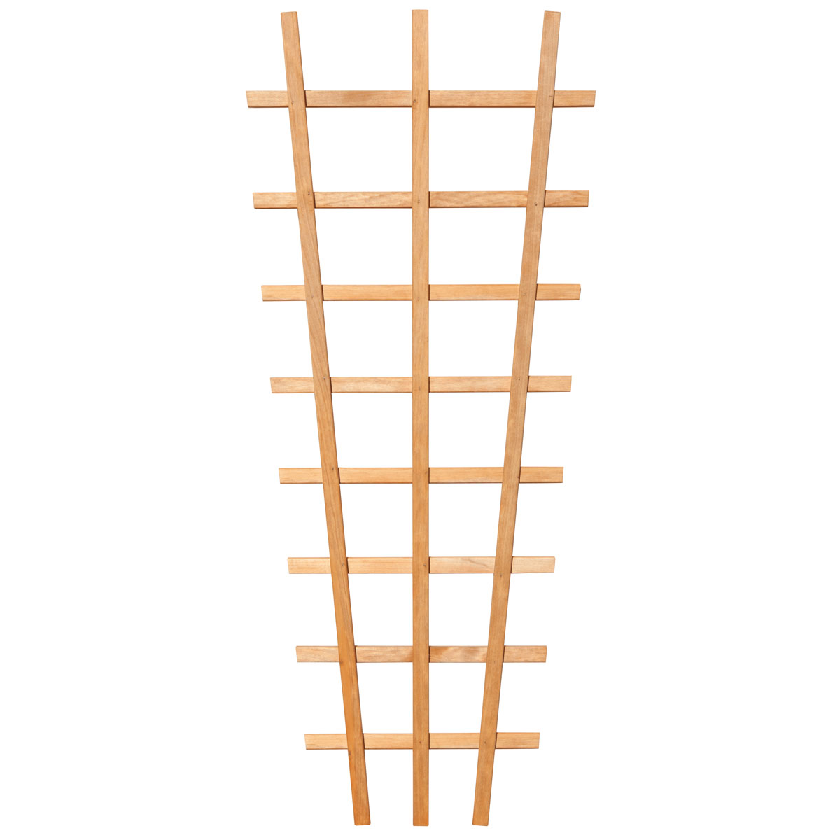 Rankgitter V Aspe braun 44/63x150 cm