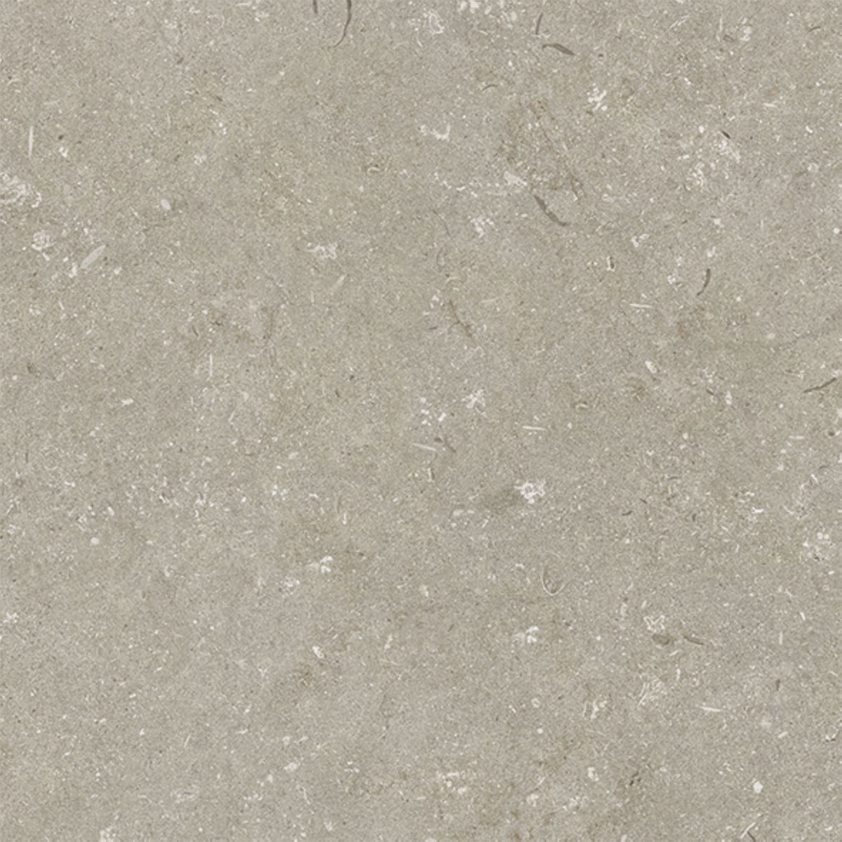 Feinsteinzeug Brighton taupe matt BRG004, 30x60x0,8cm Bild 1