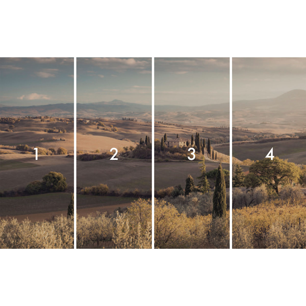 Komar  Vlies Fototapete Toskanagold 400x250 cm Bild 3