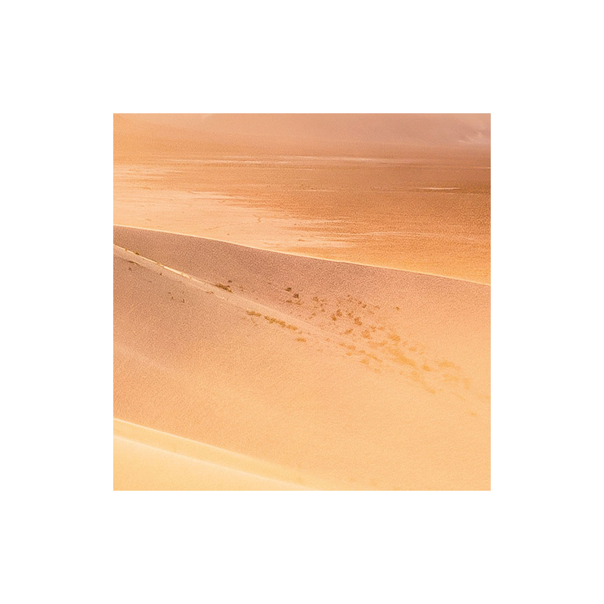 Komar  Vlies Fototapete Gently Touched 400x250 cm Bild 8