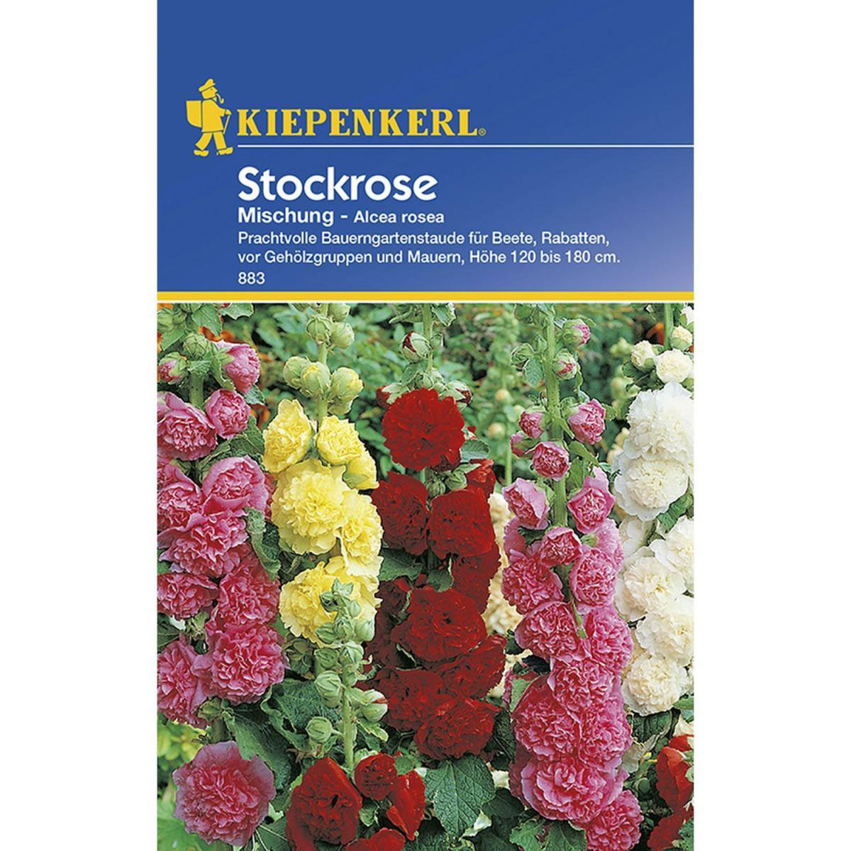 Kiepenkerl Stockrosen Mischung