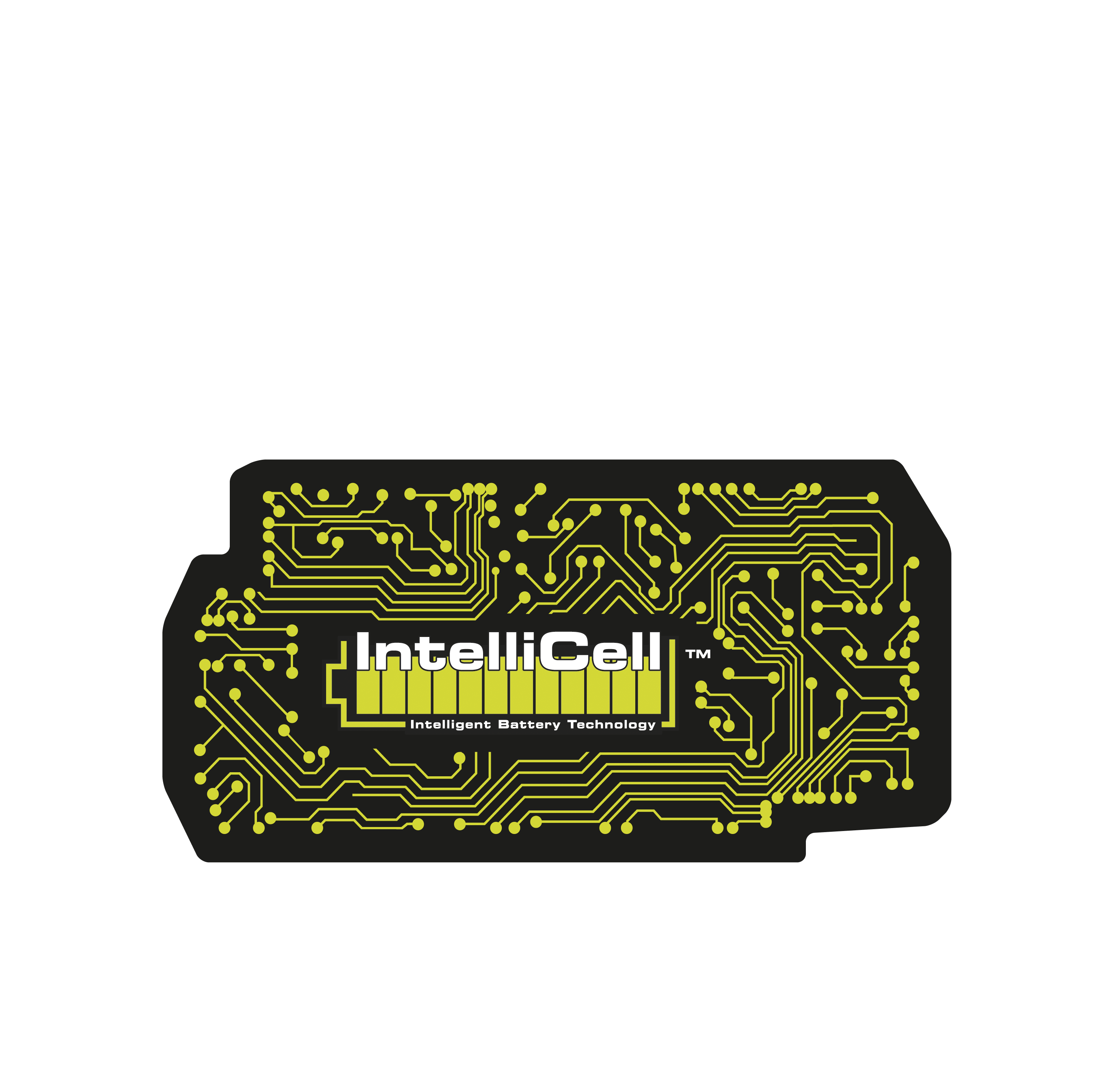 IntelliCell_36V_Battery_Brain--Graphic_Grn_2
