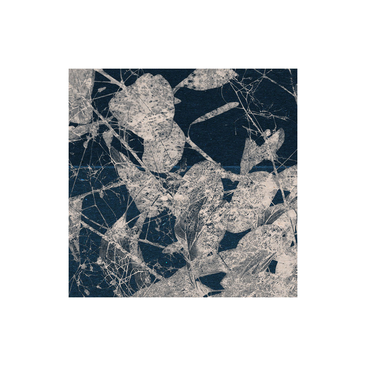 Komar  Selbstklebende Vlies Fototapete rund Branch Durchmesser 125 cm Bild 6