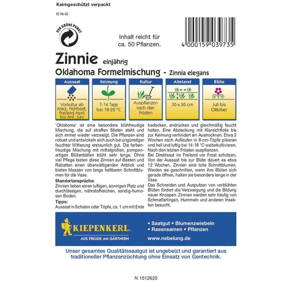 Kiepenkerl Zinnien Oklahoma-Formelmix Profi-Line Bild 2