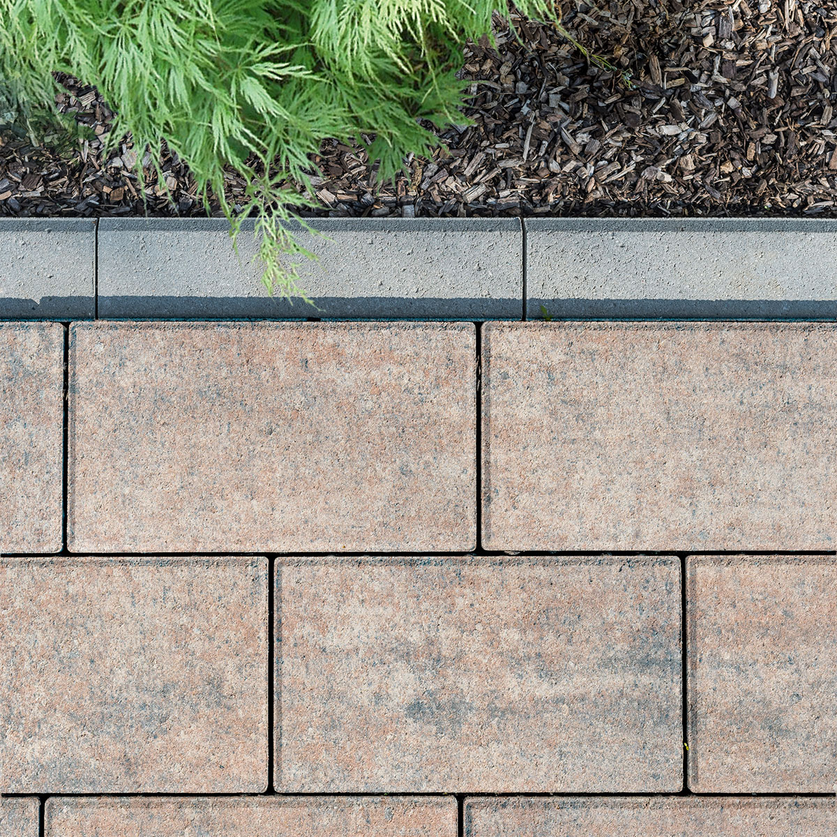 Diephaus  Pflaster Cozy muschelbeige 30 x 15 x 6 cm Bild 2