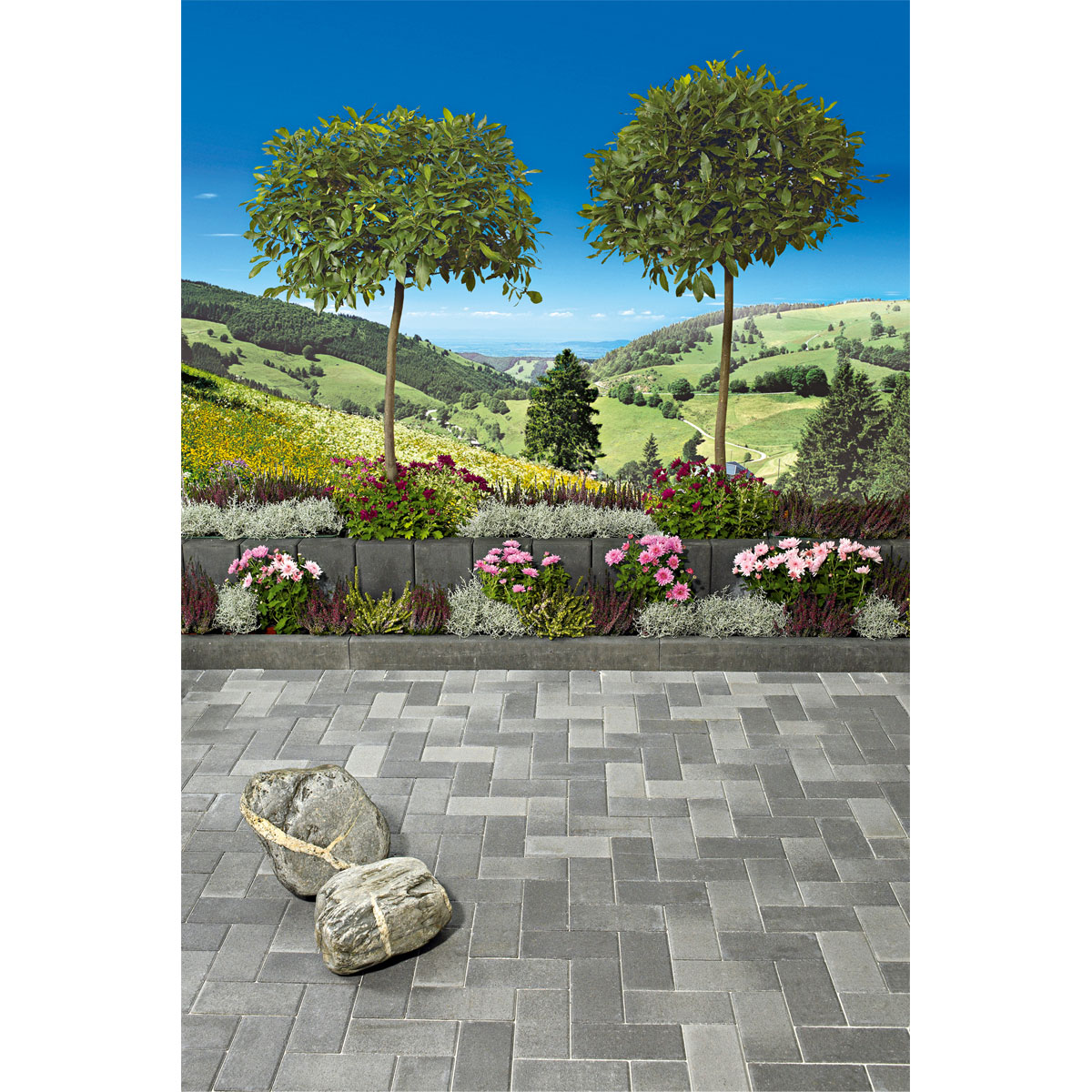 Lusit  Rechteckpflaster mit Fase anthrazit 10 x 20 x 8 cm Bild 2