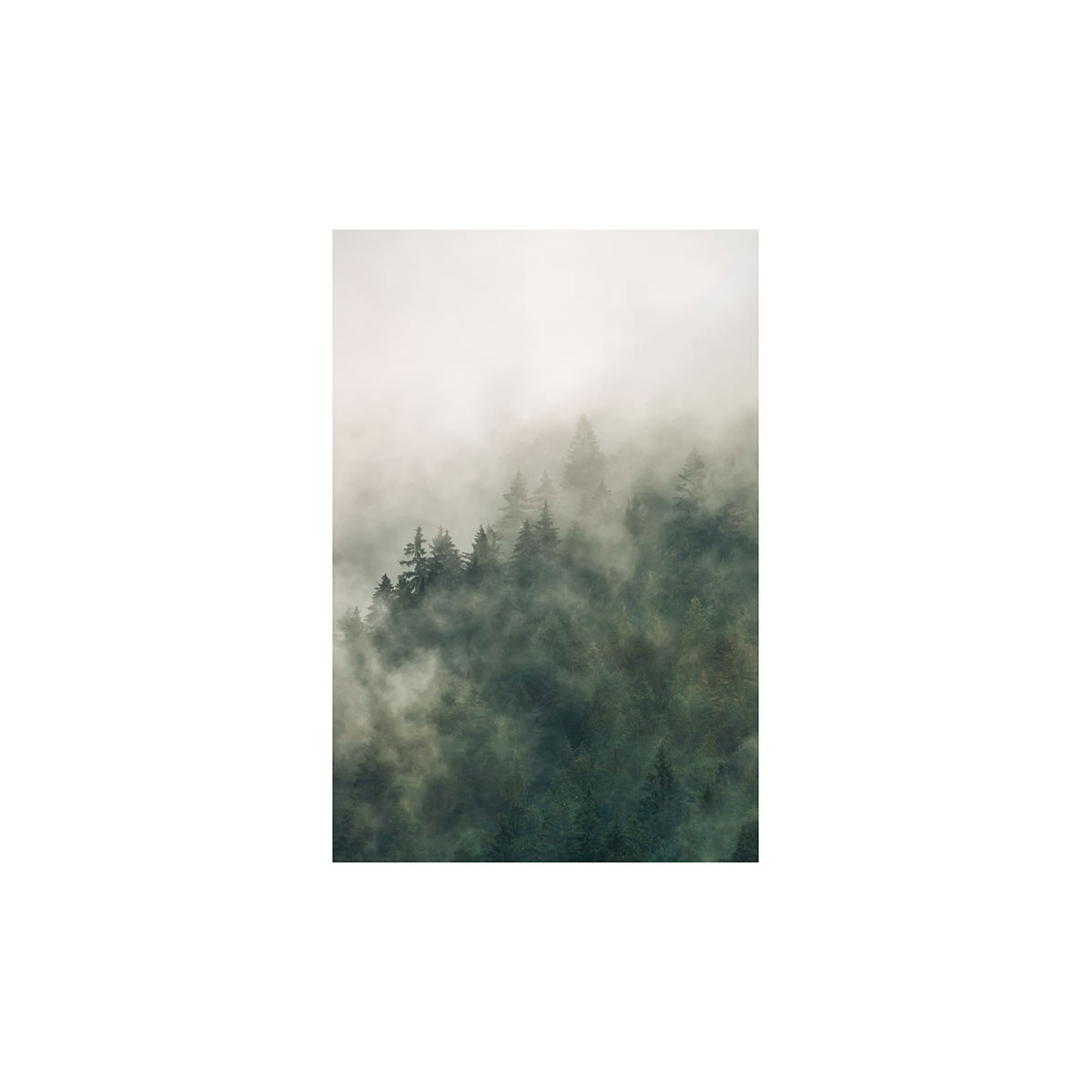 Komar  Wandbild Tales of the Carpathians 40x50 cm Bild 2