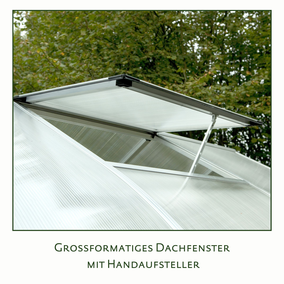 KGT Gewächshaus Rhodo IV 6,8 m² silber Bild 3