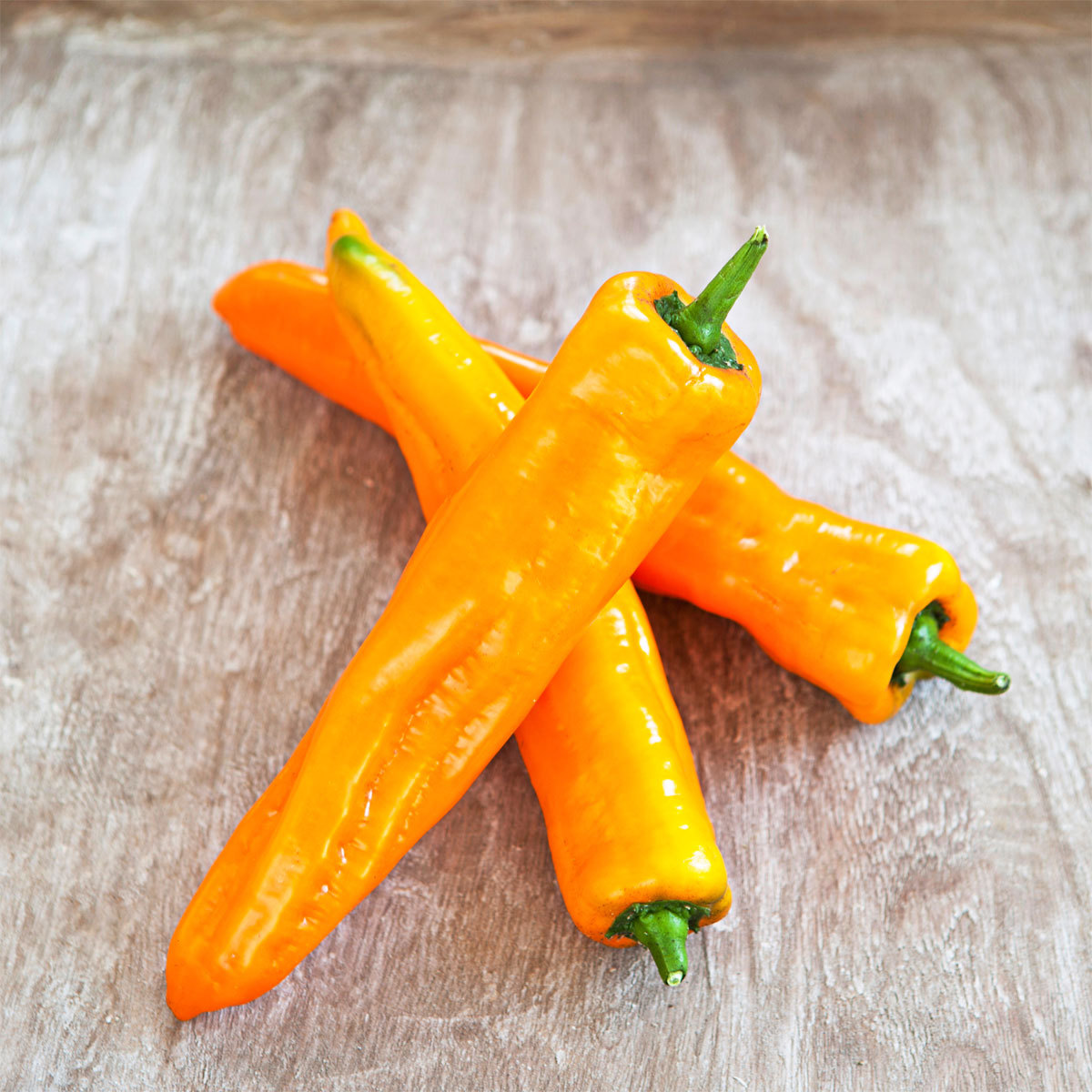 Plantiflor  Snackpaprika plastikfrei Topf 12 cm Bild 2