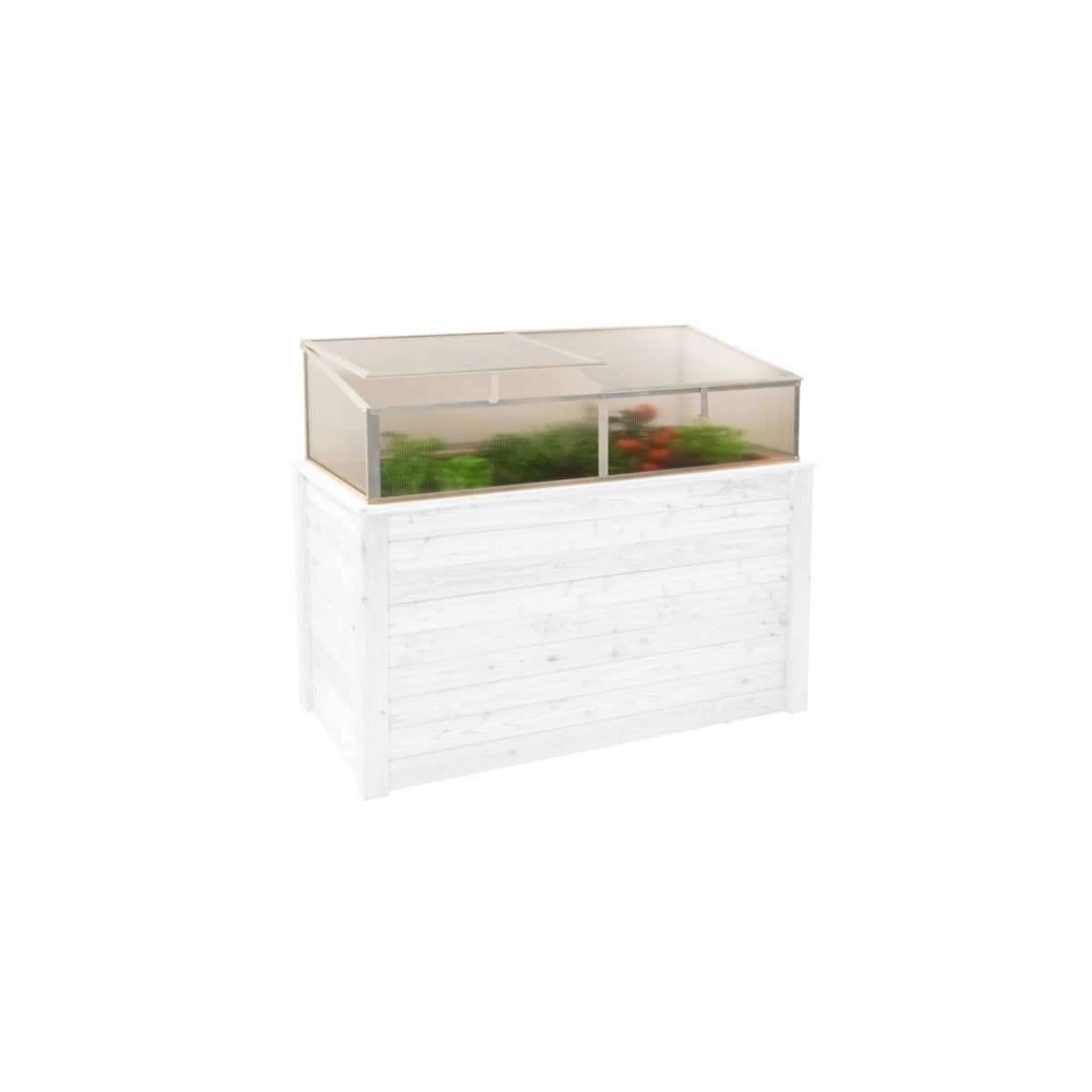 Westmann Frühbeetaufsatz Genus 170 85x165x41cm Bild 2