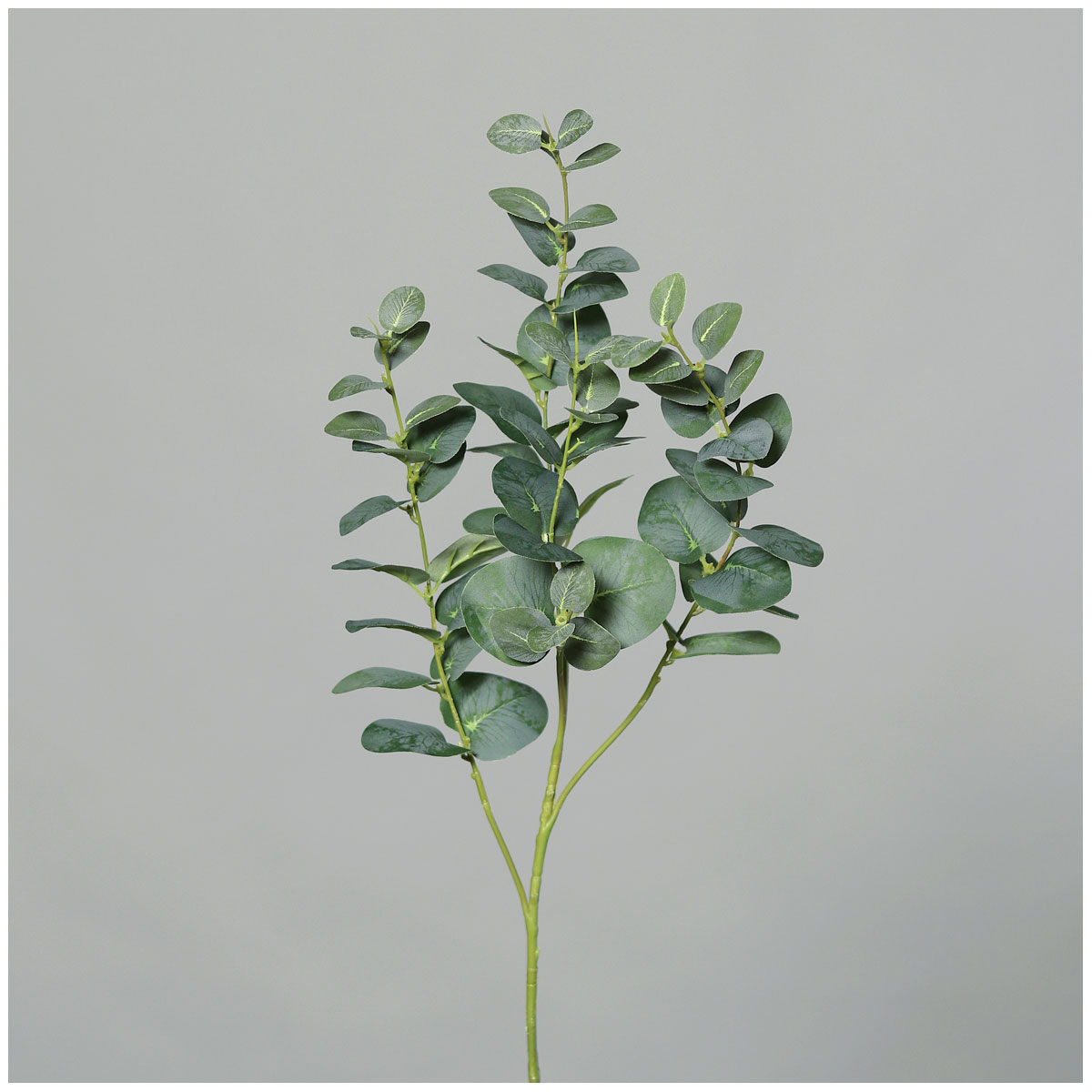 Eukalyptuszweig 92 cm green