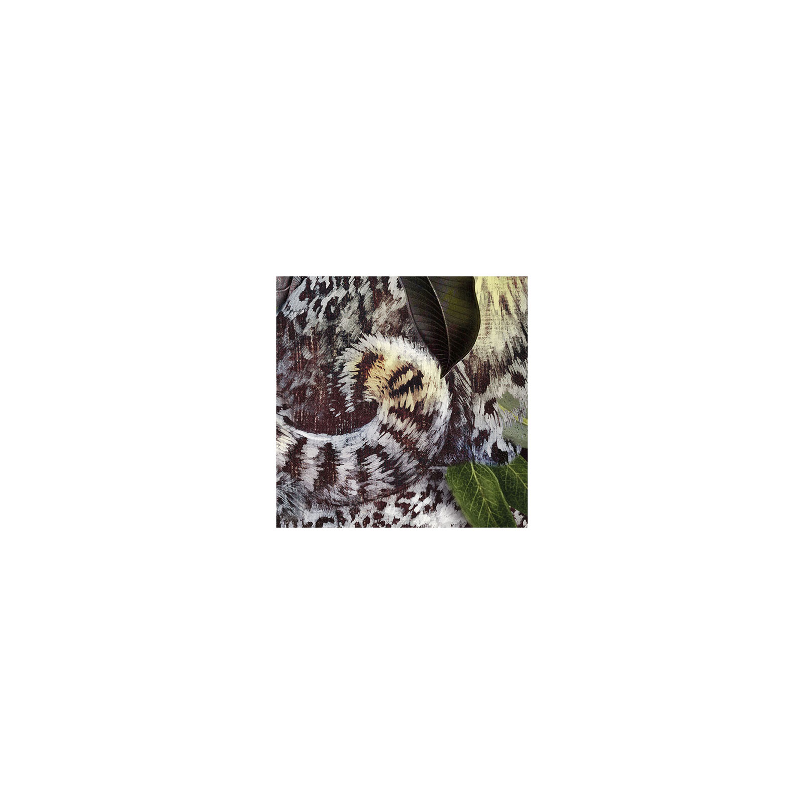 Komar  Vlies Fototapete Wild Cats 200x250 cm Bild 4