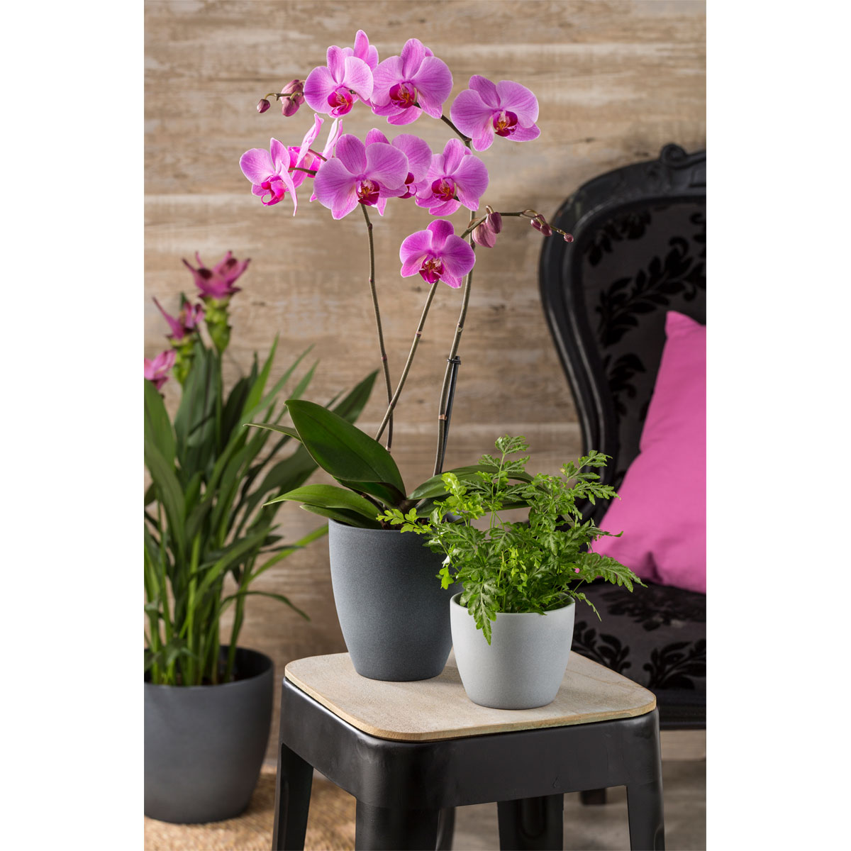 Scheurich Übertopf 920 33 cm Dark Stone Bild 2