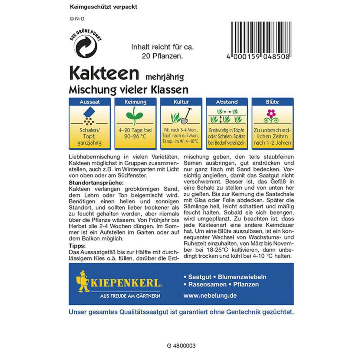 Kiepenkerl Kakteen Mischung vieler Klassen Profi-Line Bild 2