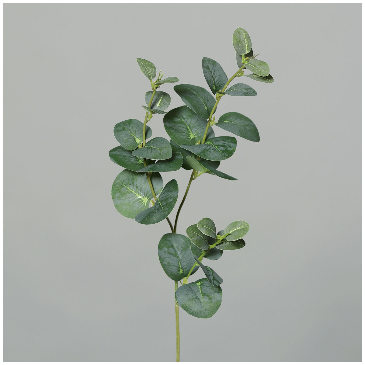 Eukalyptuszweig 64 cm