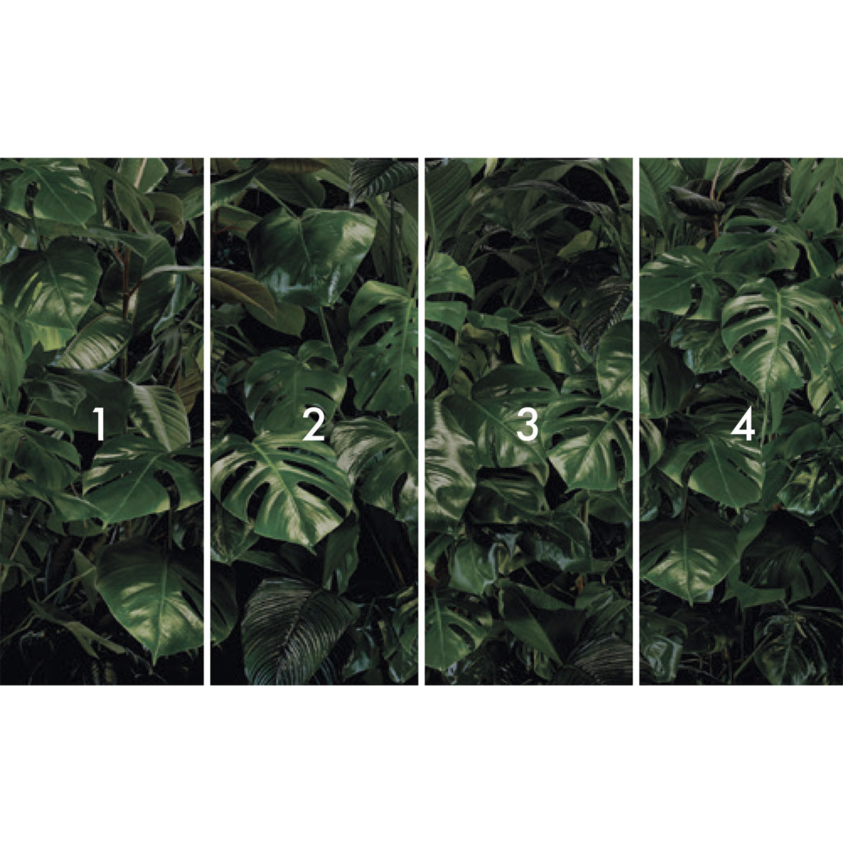 Komar  Vlies Fototapete Tropical Wall 400x250 cm Bild 3