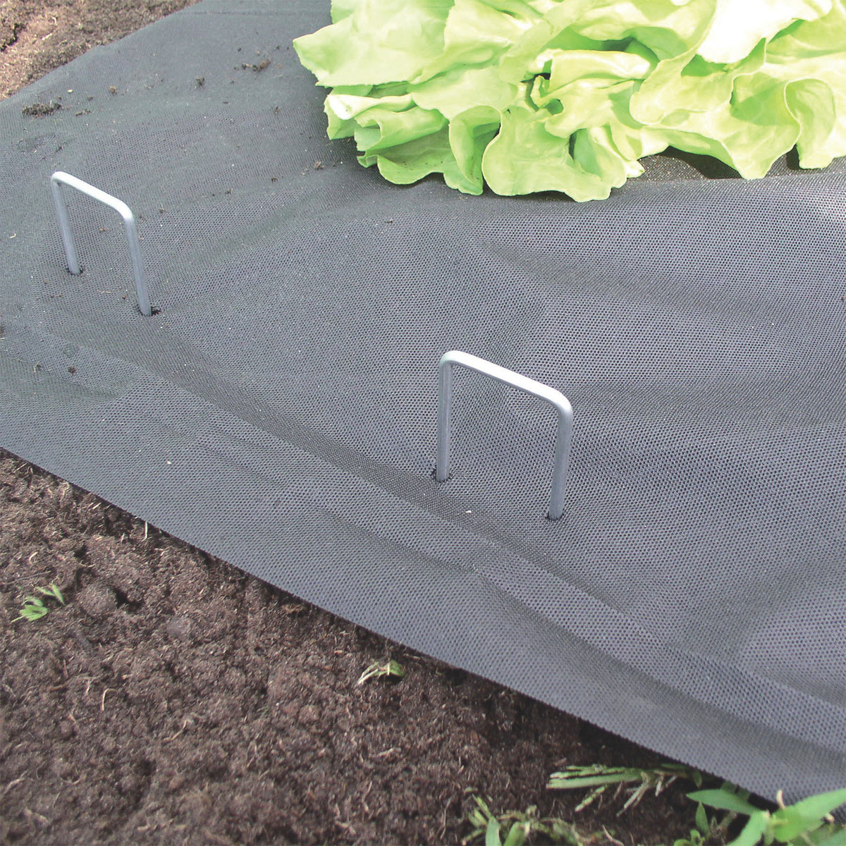 Windhager Metall-Hering verzinkt 10 Stück Bild 3