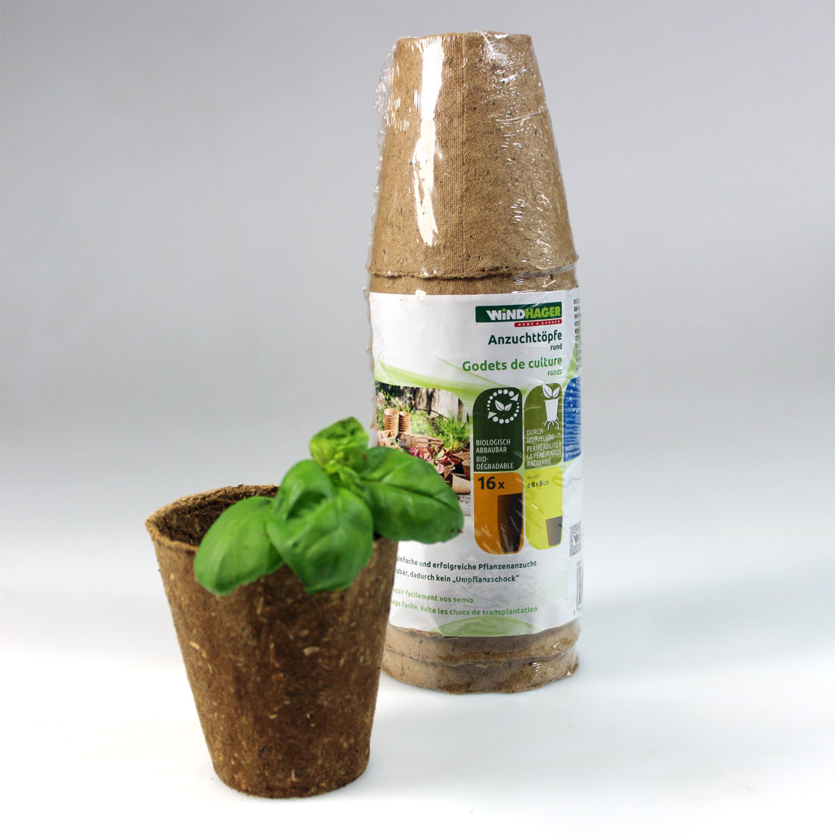 Windhager  Torf-Anzuchttöpfe 8 cm Bild 2