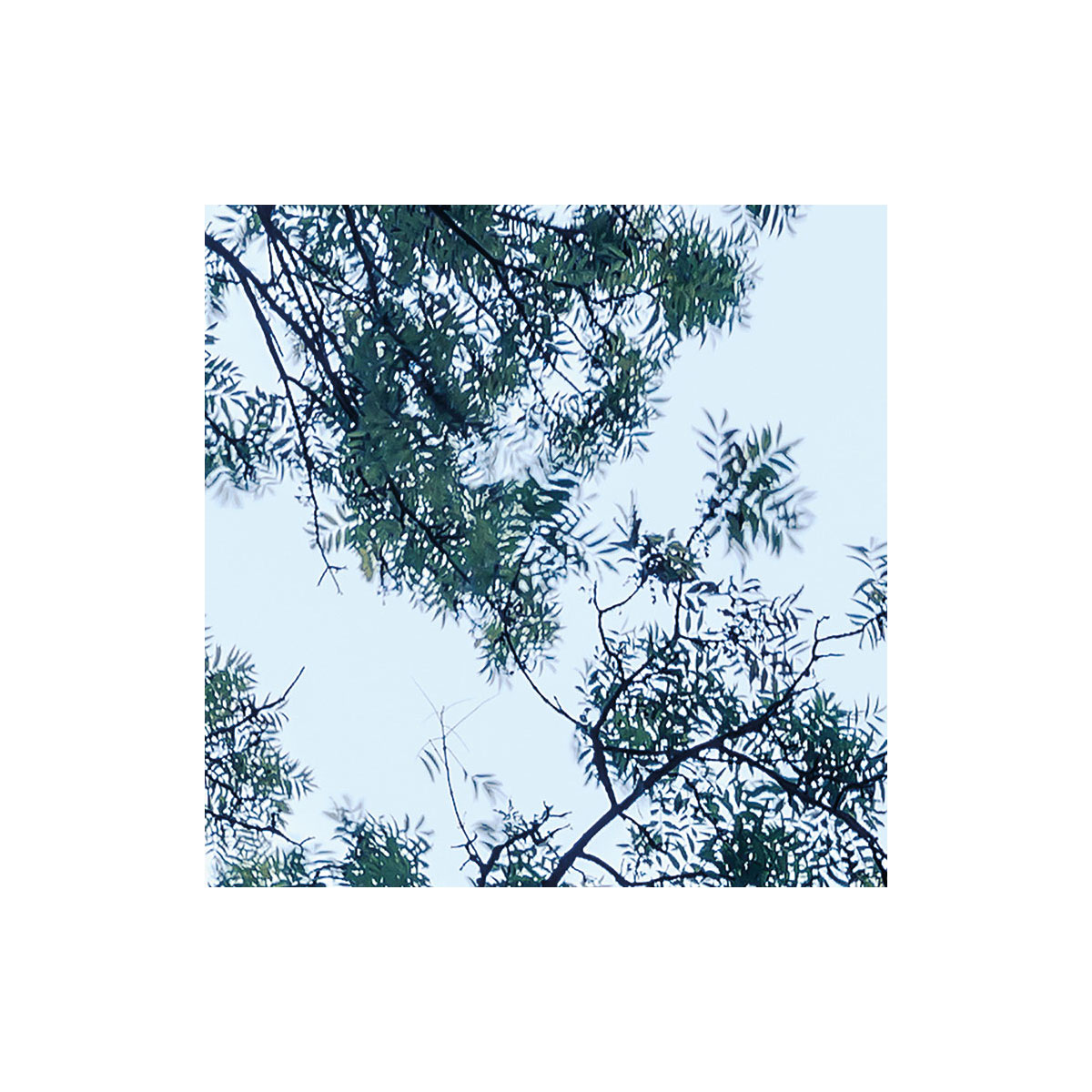 Komar  Vlies Fototapete Blue Waters 400x250 cm Bild 6