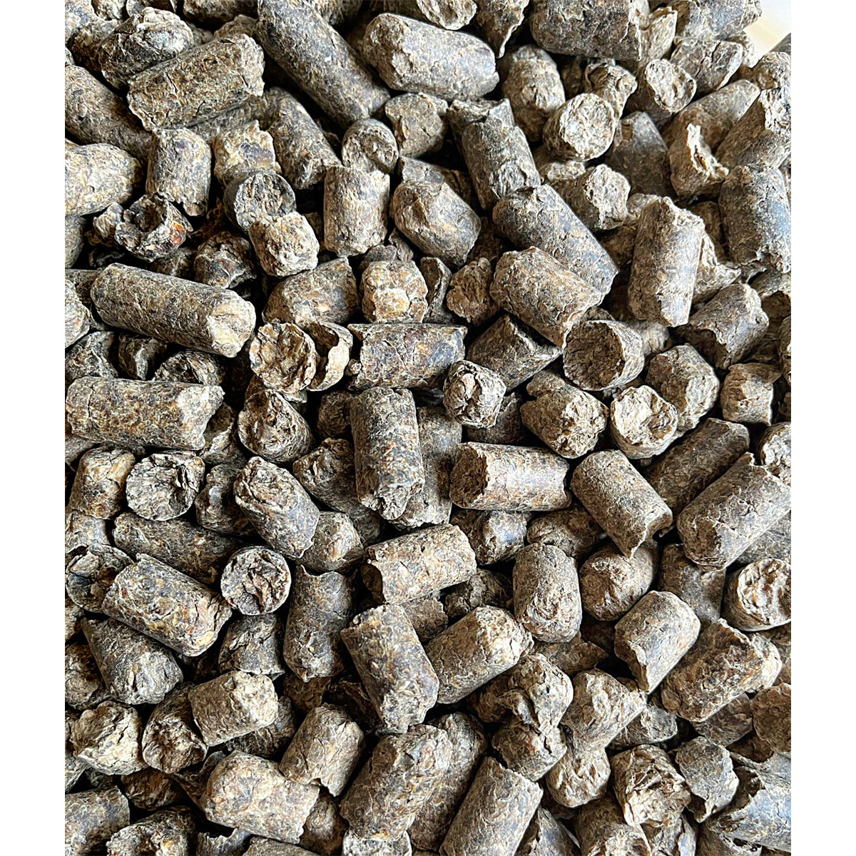 Rübenmelasseschnitzel 25 kg pelletiert Bild 2