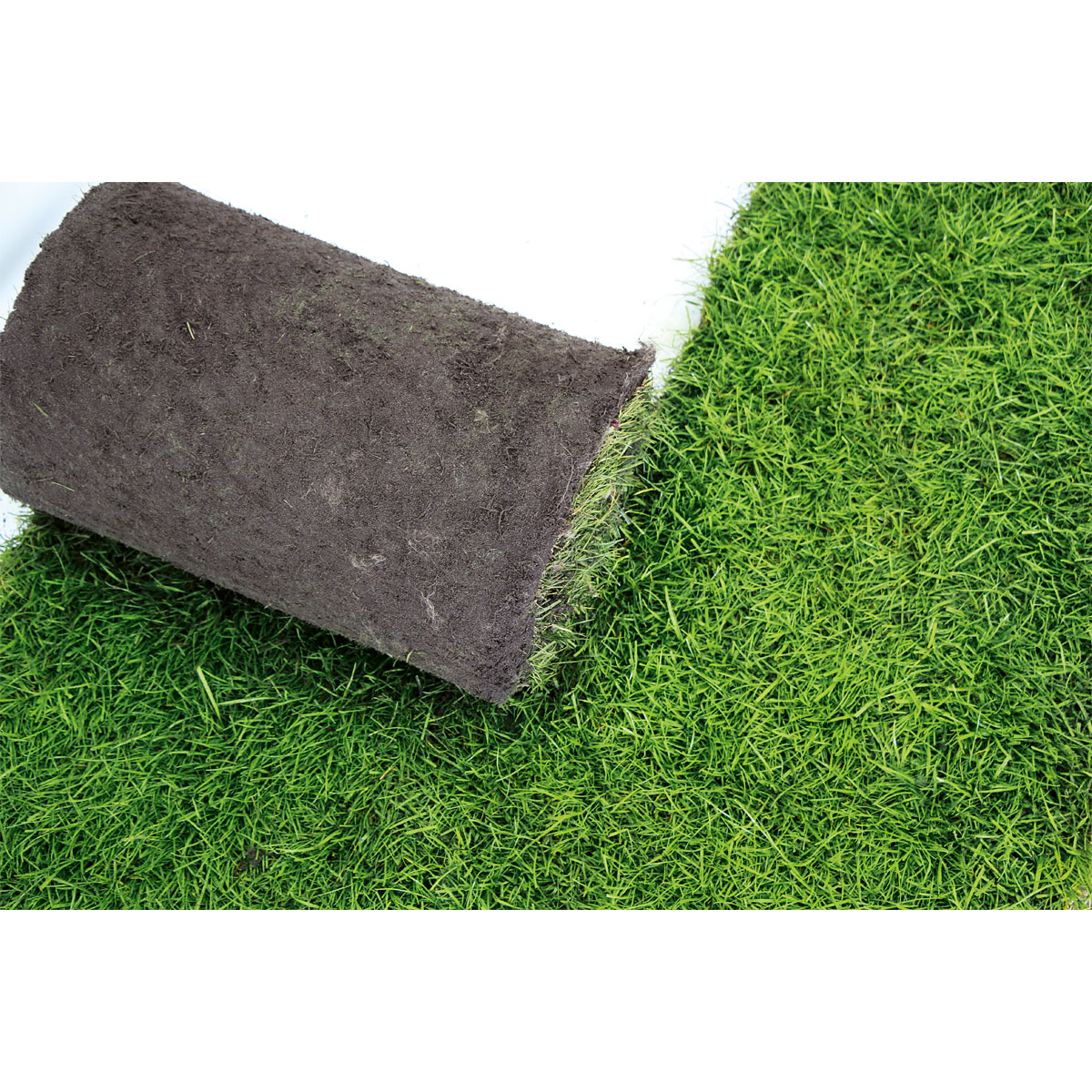 Plantiflor Rollrasen Premium-Qualität Bild 2