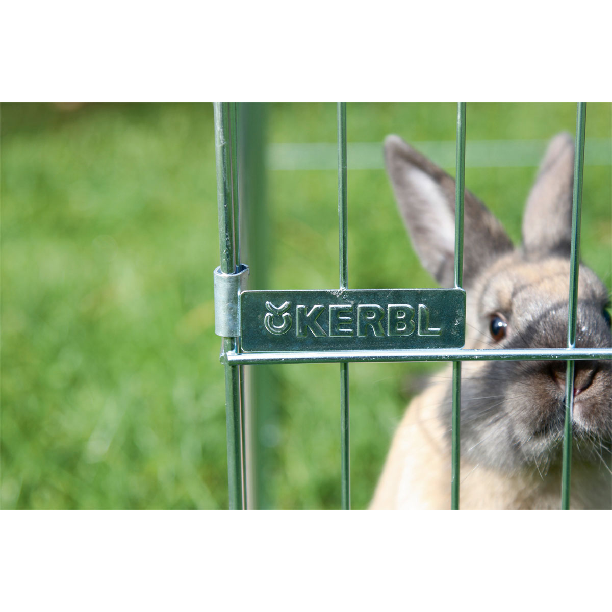 Freilaufgehege Easy 115 x 60 x 115 cm verzinkt Bild 2