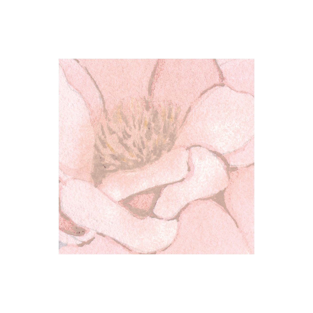 Komar  Vlies Fototapete Endless Spring 350x250 cm Bild 6