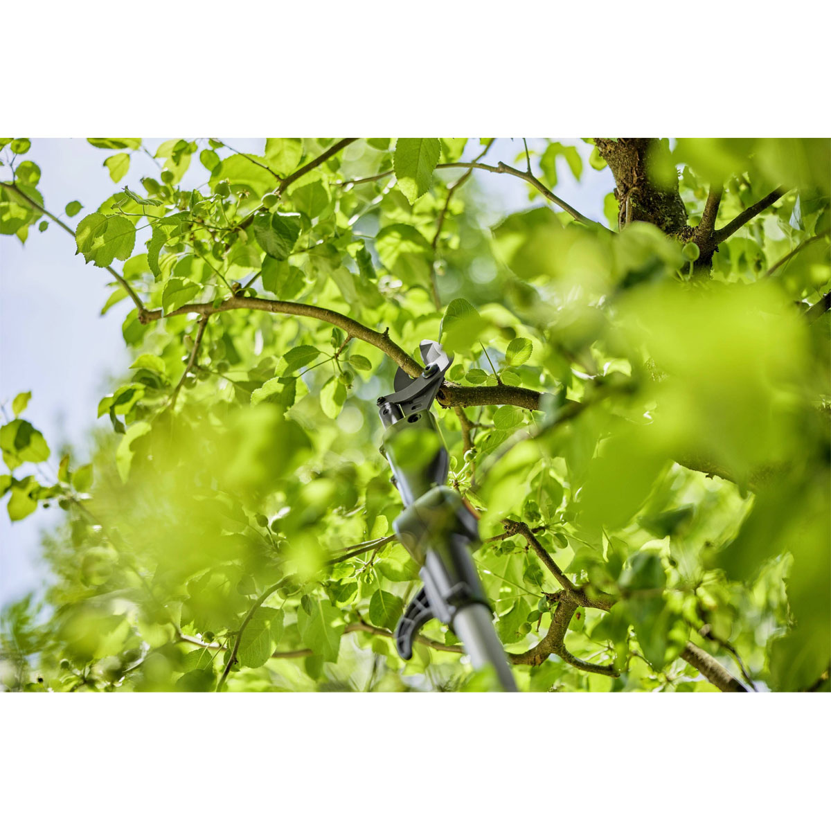 Gardena  Akku-Teleskop-Baumschere HighCut 250/18V inkl AH Akku und Ladegerät Bild 2