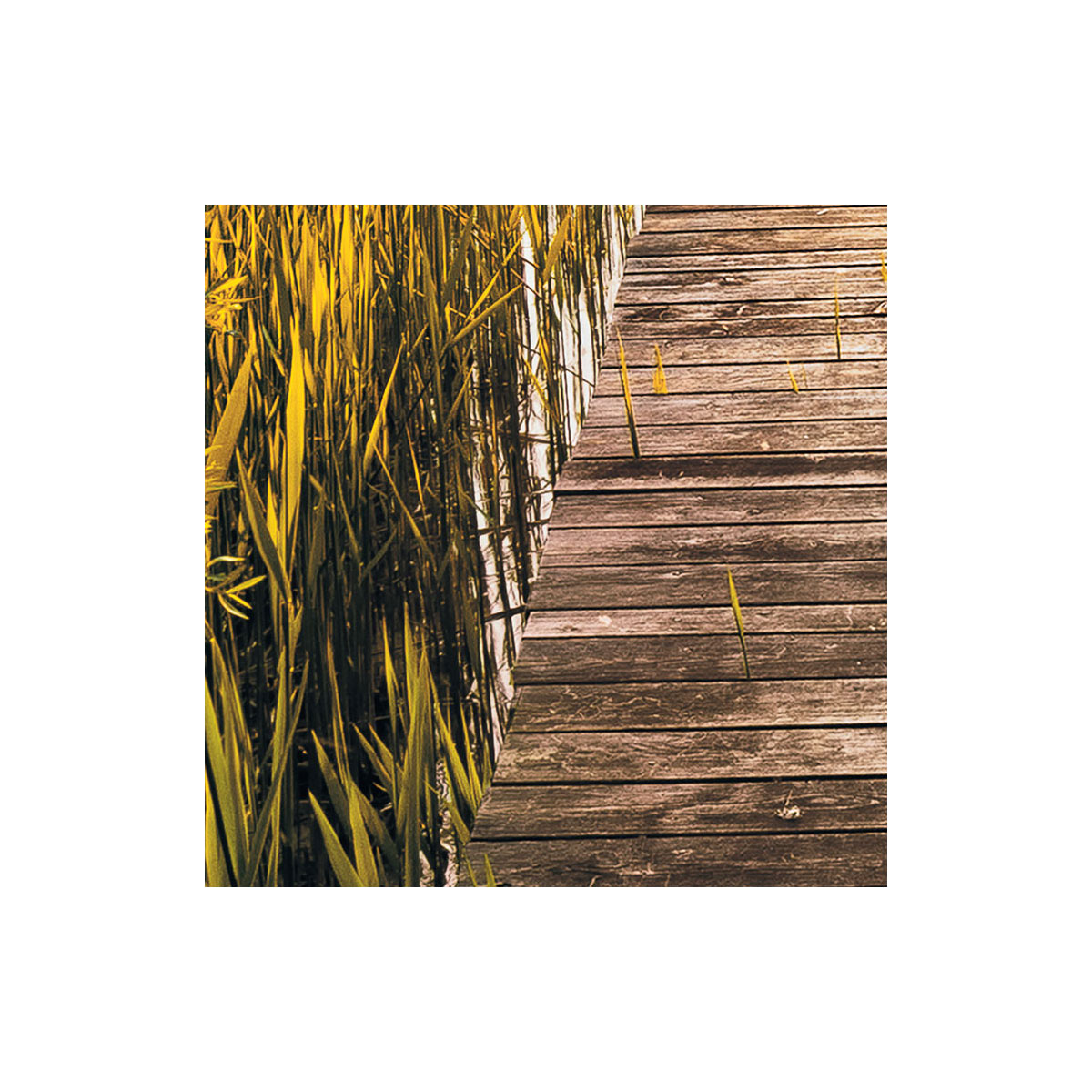 Komar  Vlies Fototapete Lakeside 300x250 cm Bild 9