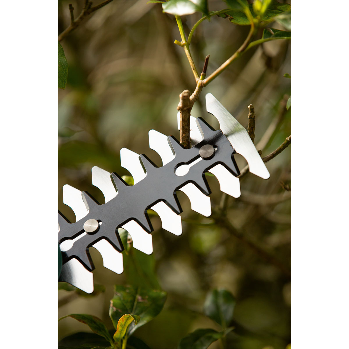 Bosch  Strauchschermesser Isio Bild 4