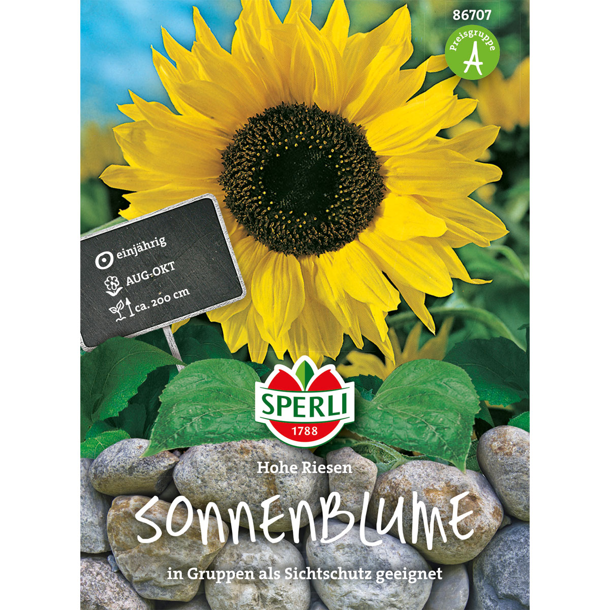 Sperli Sonnenblumen Hohe Riesen Bild 1