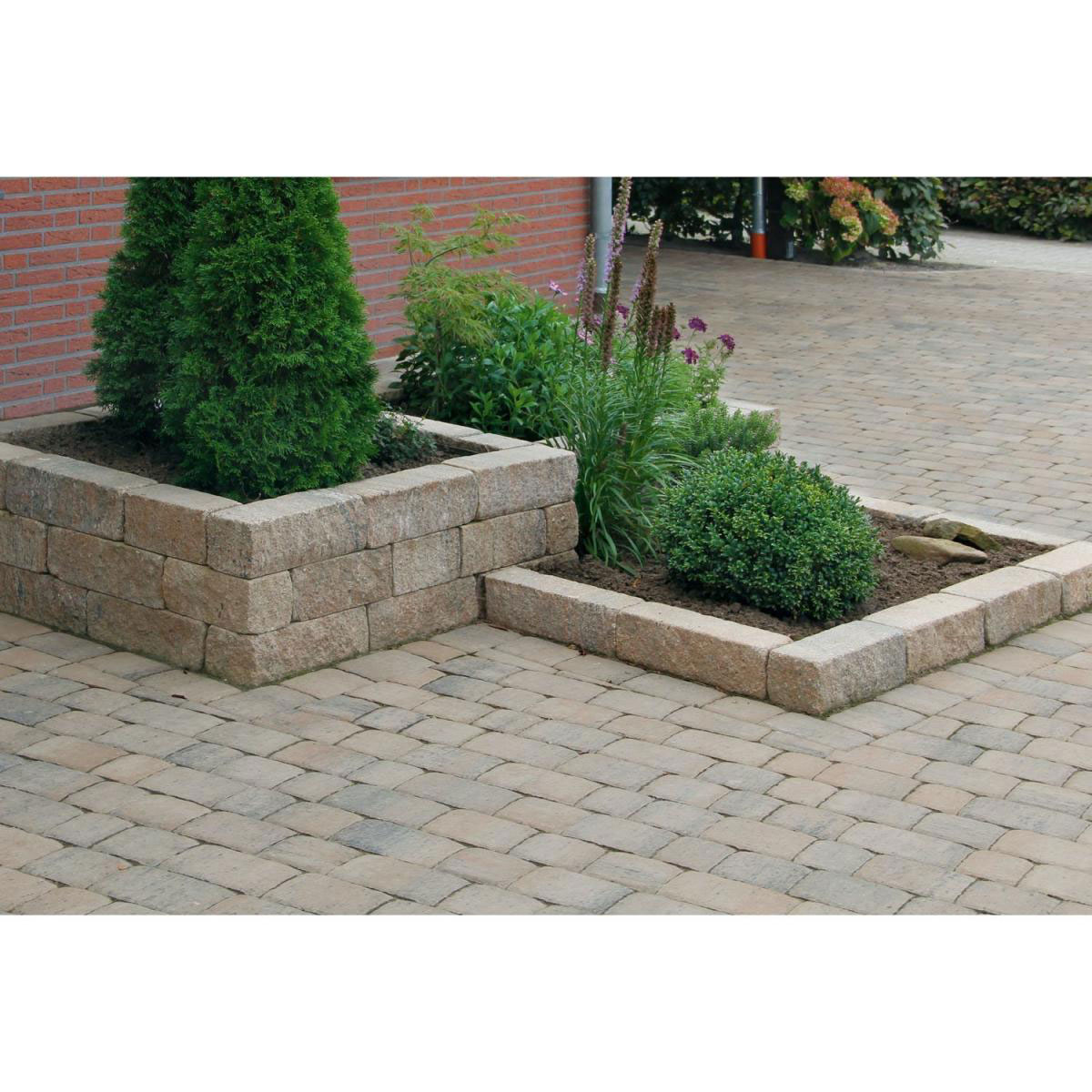 Diephaus  Mauersteine Cup 30 x 10 x 10 cm Muschelkalk PE3 Bild 2