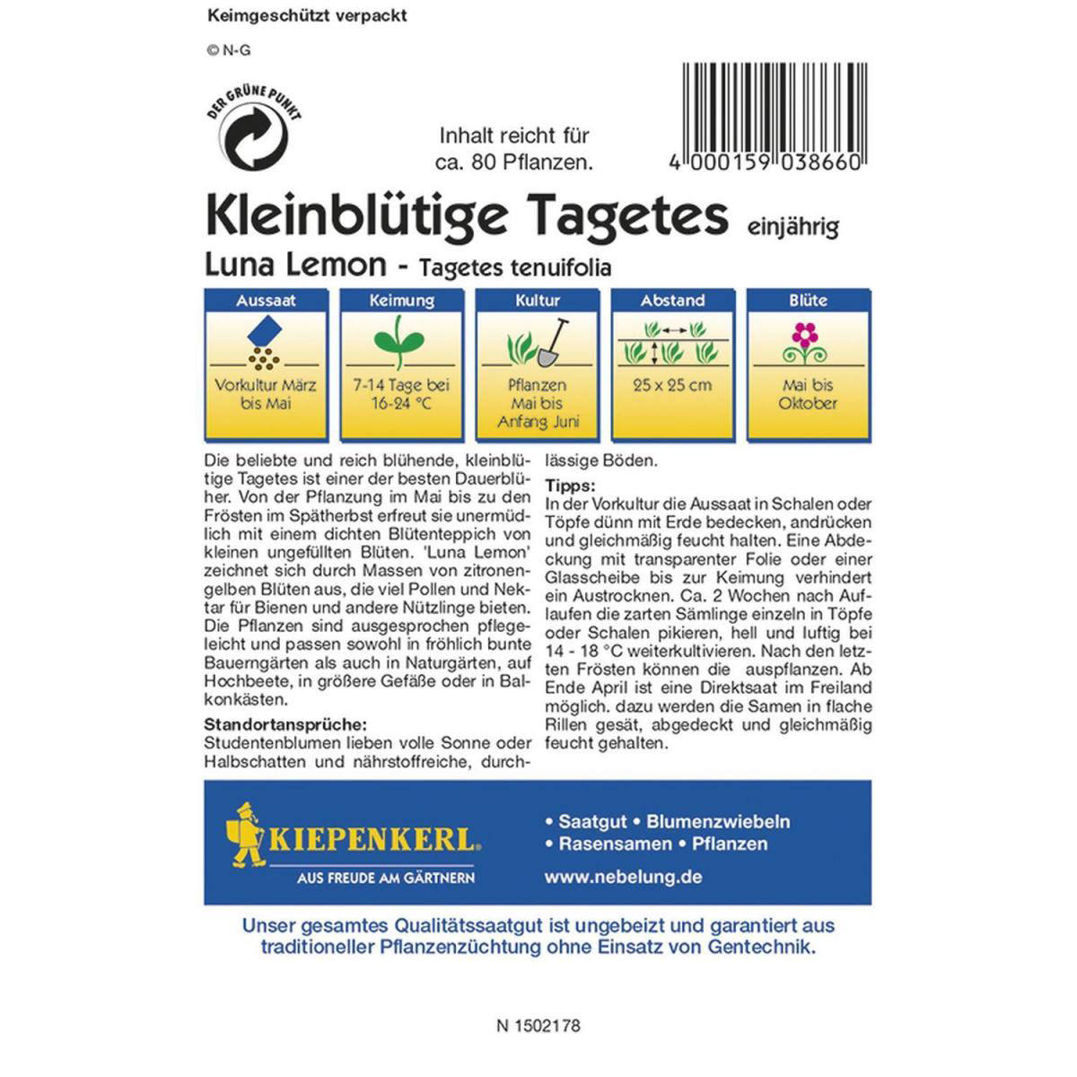 Kiepenkerl Tagetes tenuifolia Luna Lemon Profi-Line Bild 2